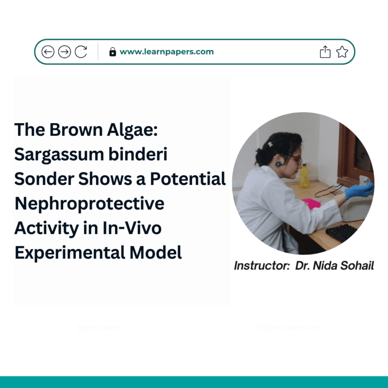The Brown Algae: Sargassum binderi Sonder Shows a Potential Nephroprotective Activity in In-Vivo Experimental Model